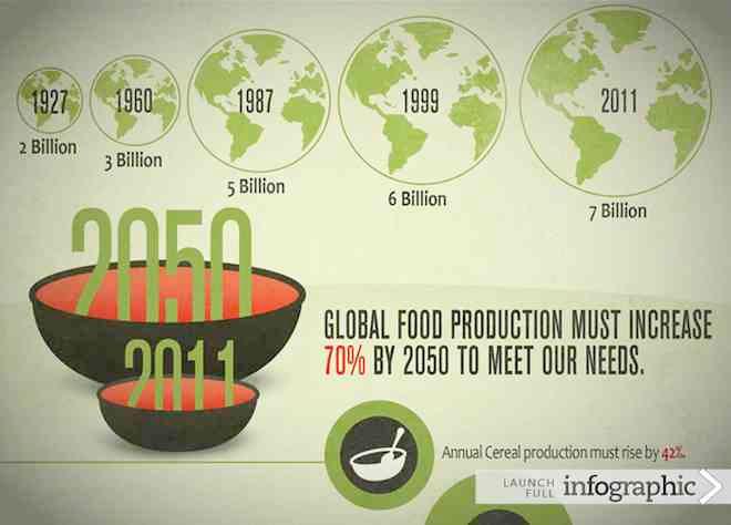 global-food-production-savvyroo