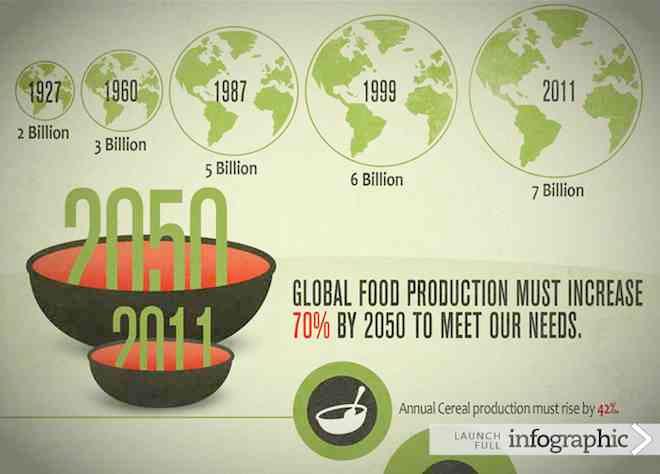 Global Food Production SavvyRoo